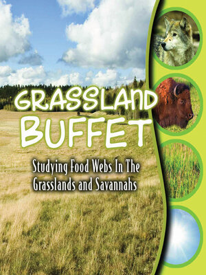 cover image of Grassland Buffet